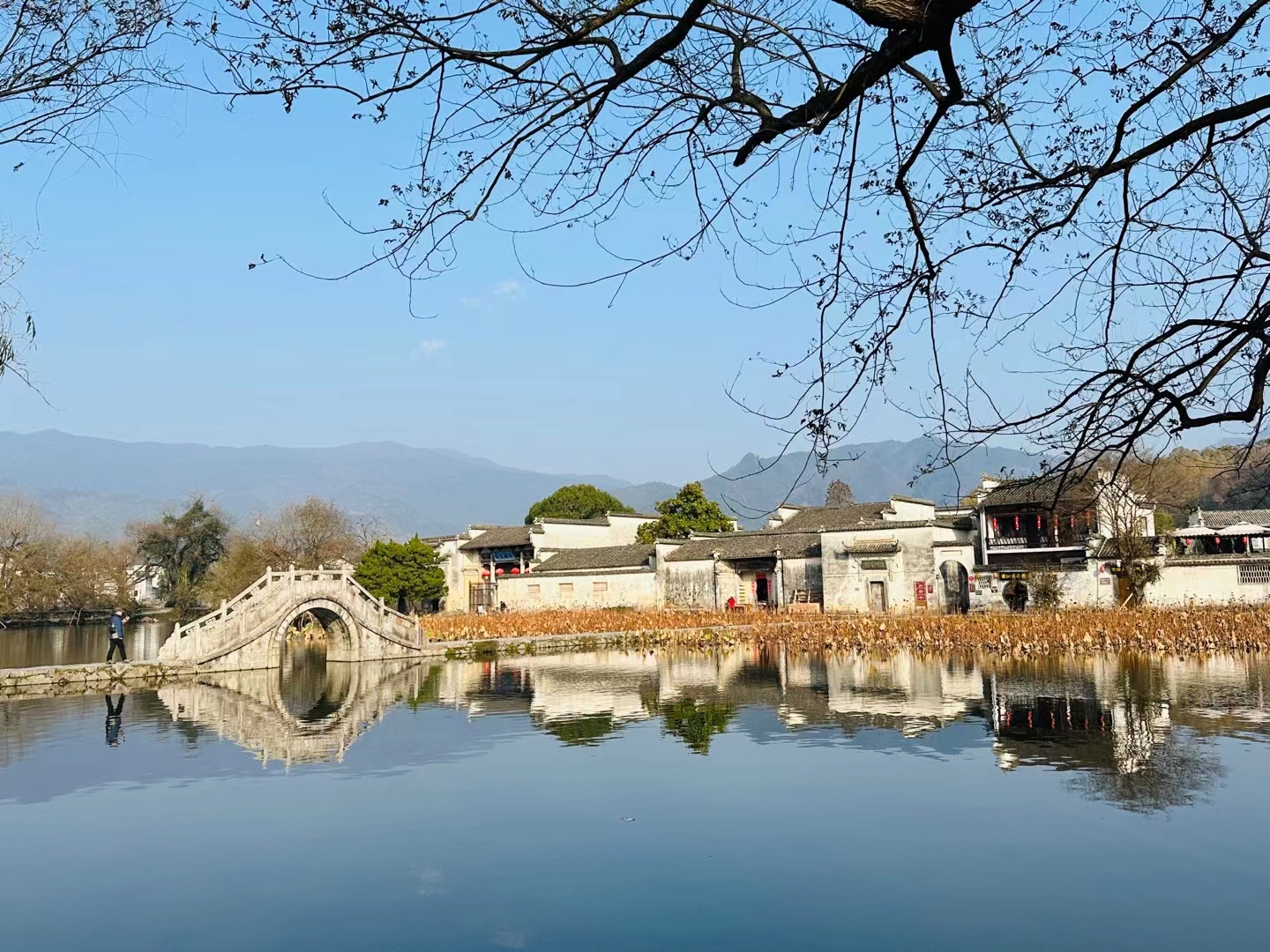 1676269699928424.jpg 86228e9e4140bc22fb8f2fa821910c1.jpg